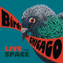 Birds Of Chicago